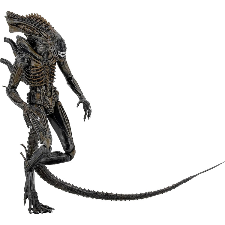 اکشن فیگور نکا مدل آلین طرح Aliens Defiance