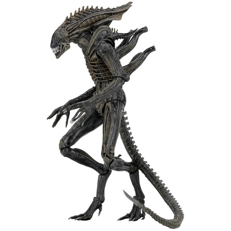 اکشن فیگور نکا مدل آلین طرح Aliens Defiance