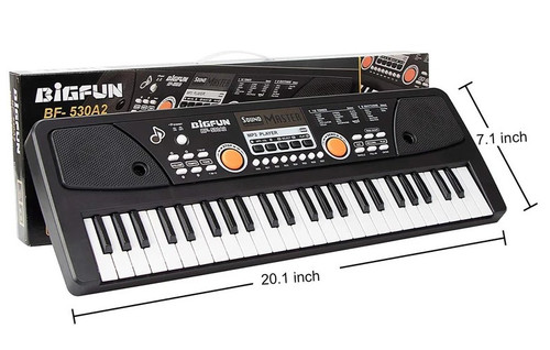 پیانو ارگ موزیکال 49 کلید برند بیگفان مدل 530A2