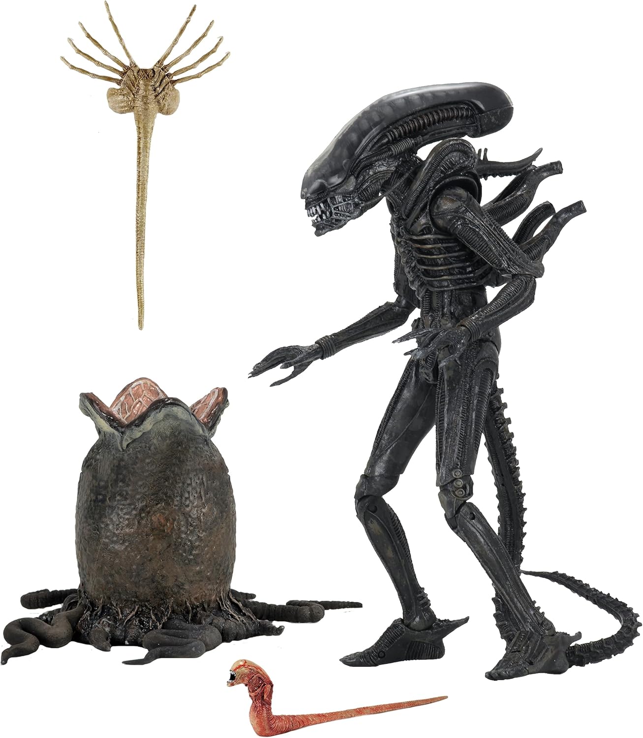 اکشن فیگور الین بیگ چاپ نکا 20 سانت مدل Alien Big Chap Ultimate Edition Neca